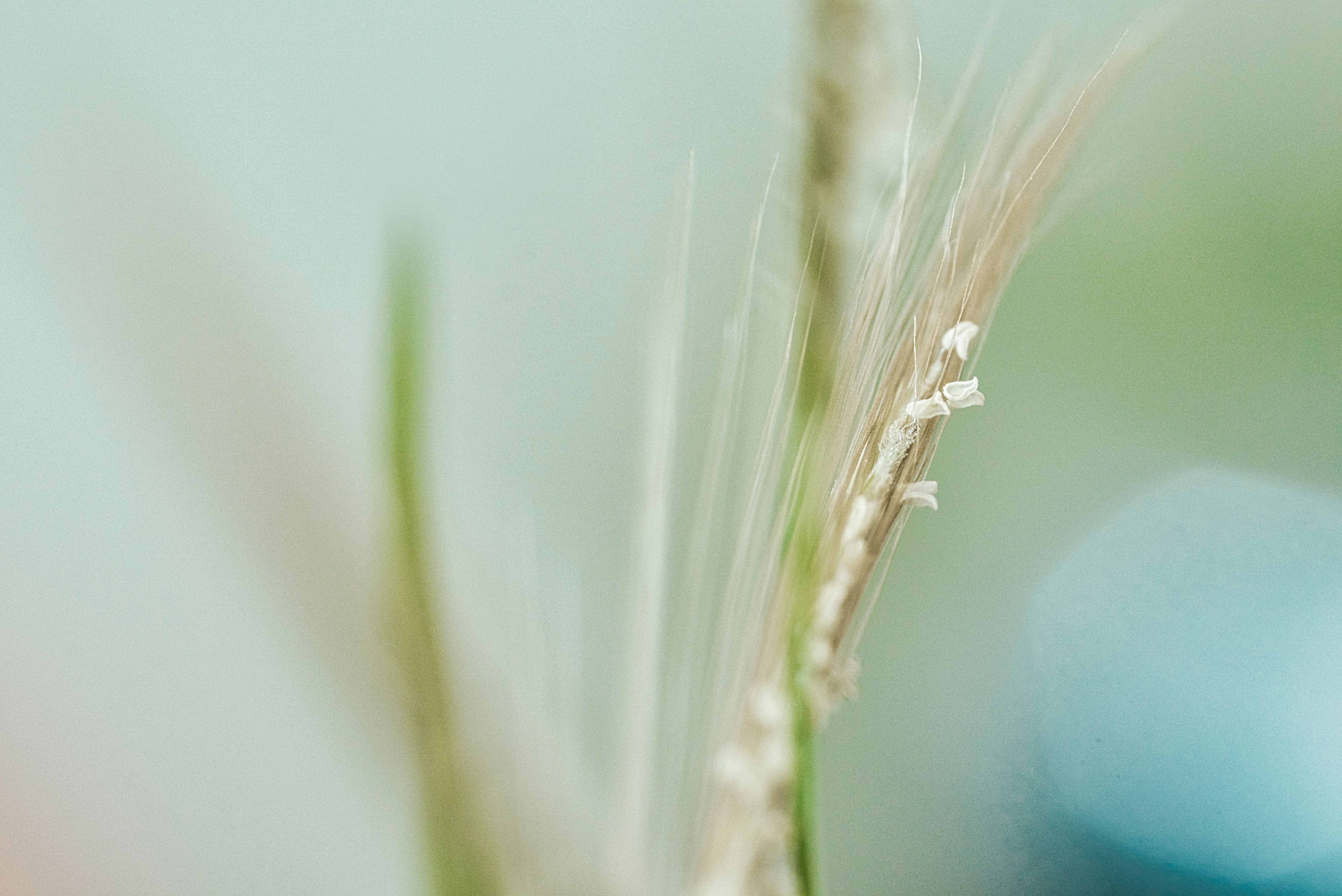 Photo by thomaskinto