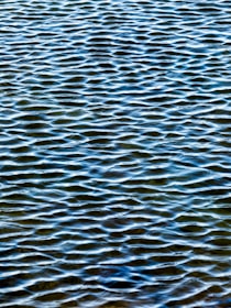 A close-up of clear water rippling gently, reflecting sunlight in sparkling patterns.
