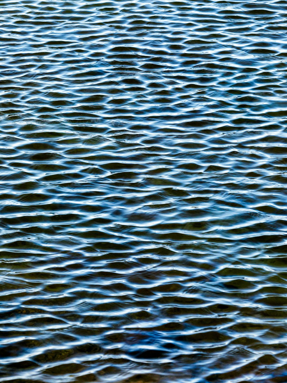 body of water during daytime