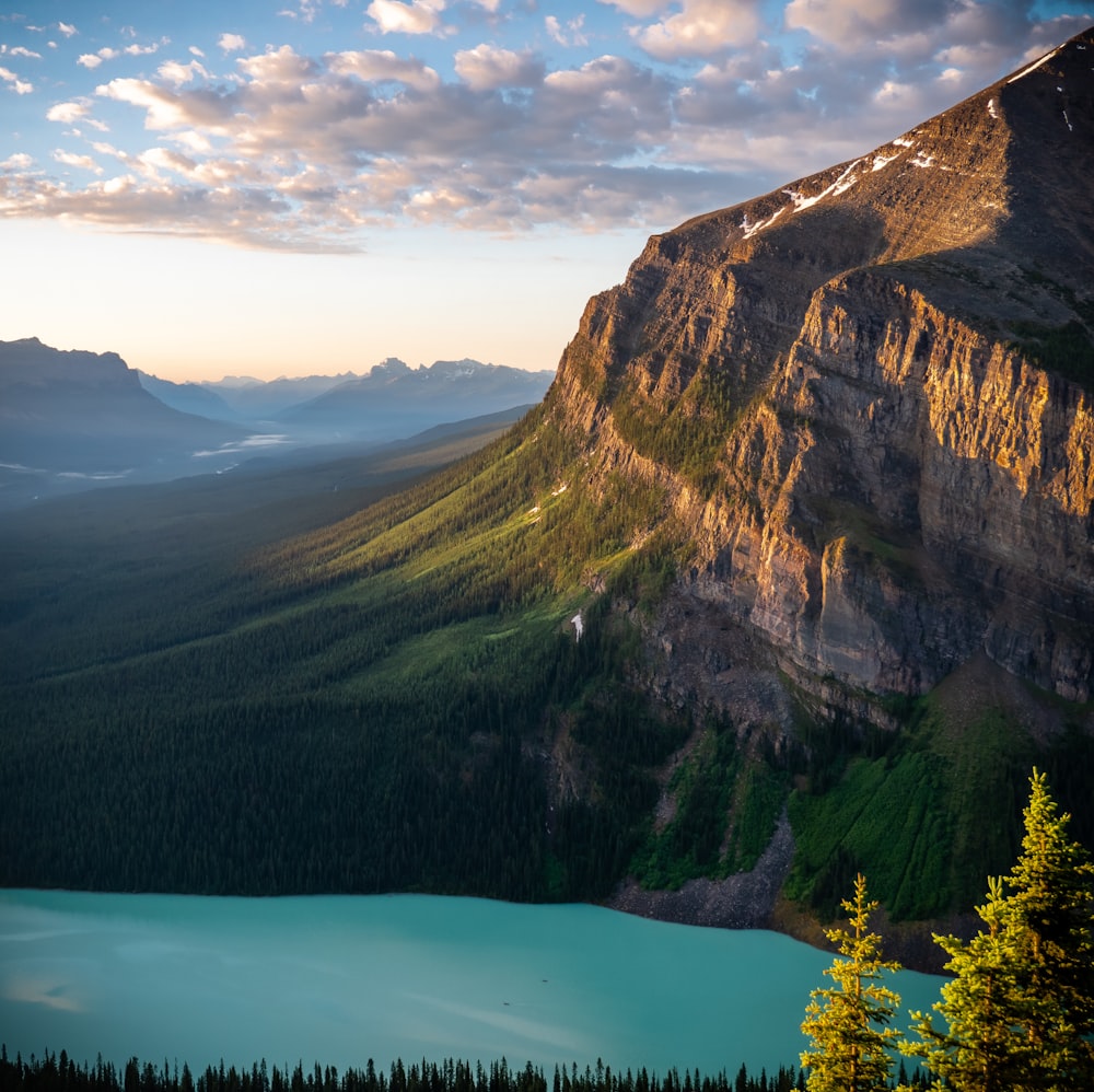 green trees near lake and mountain under blue sky during daytime