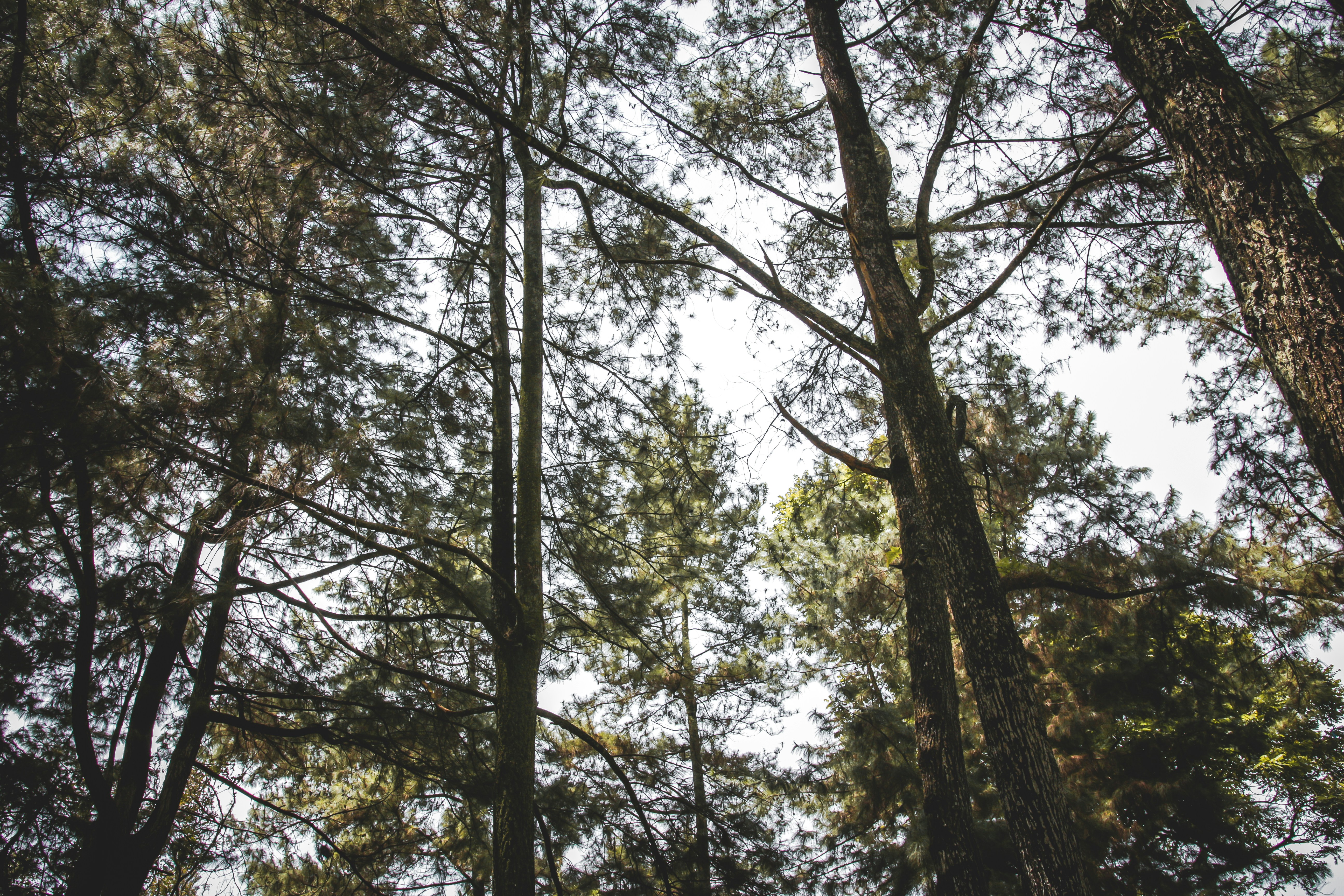 Photo by dionisiuswisnu