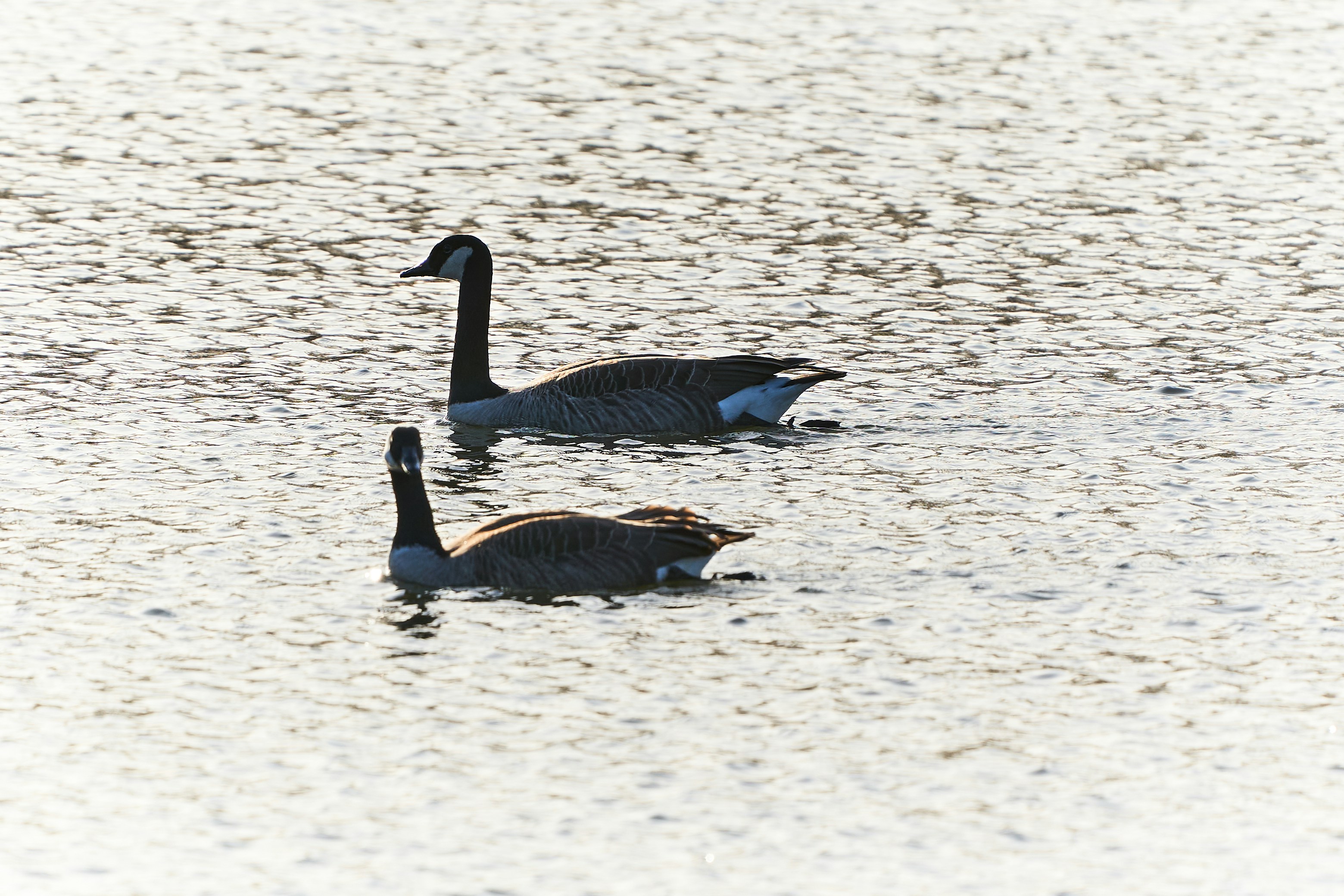 Photo by ingodoerrie