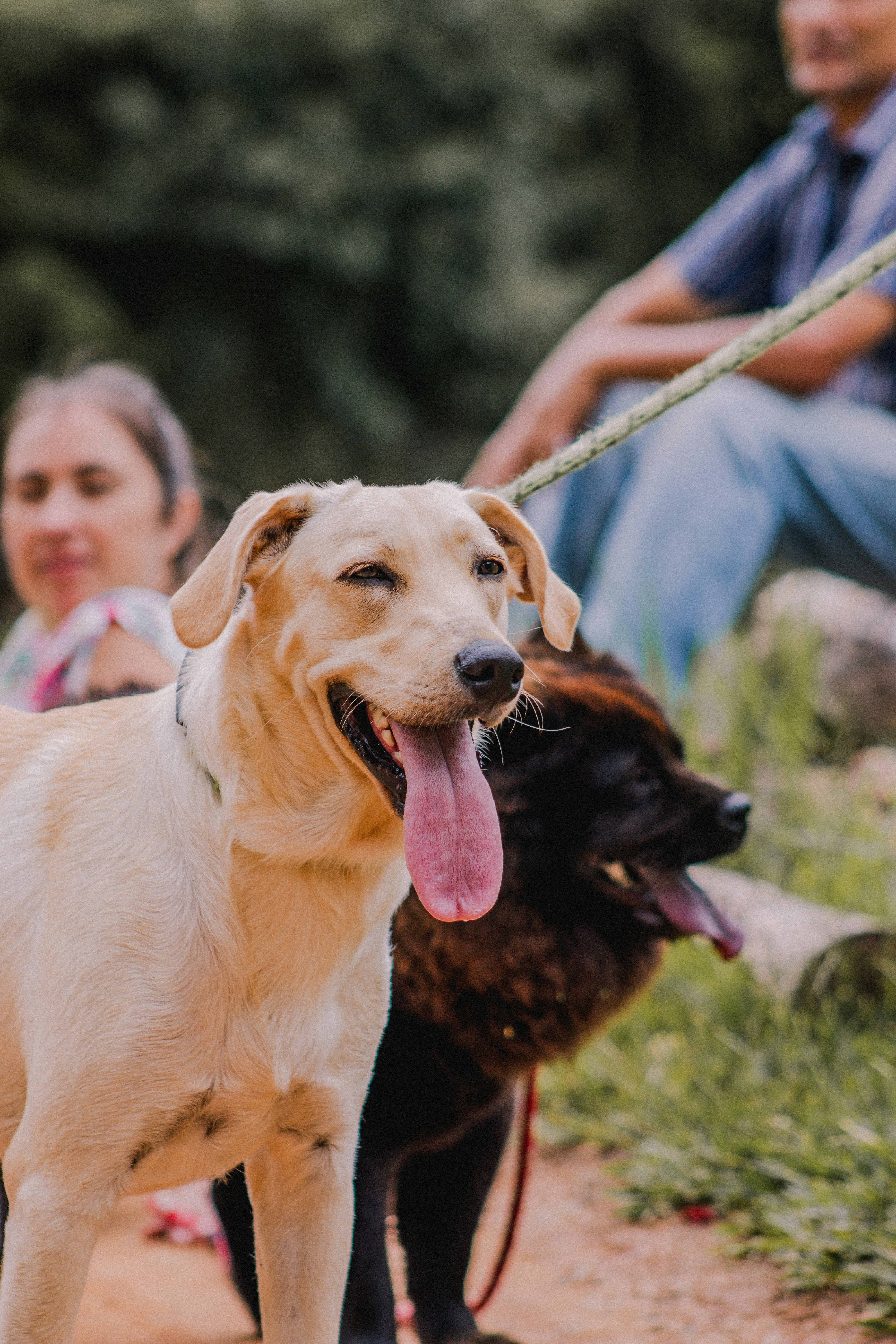 Photo by mauriciosabino