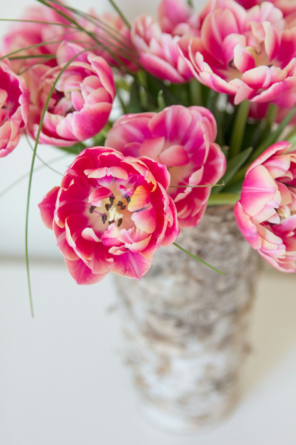 fleurs roses dans un vase en céramique blanche