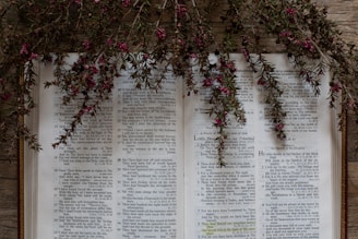 white book page with black text