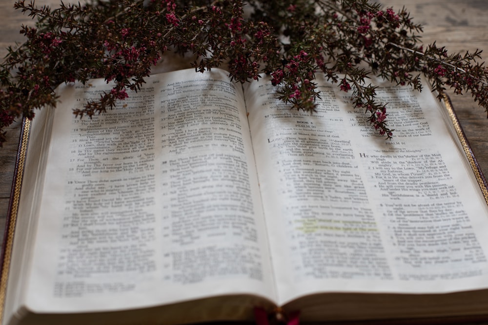 purple flowers on book page