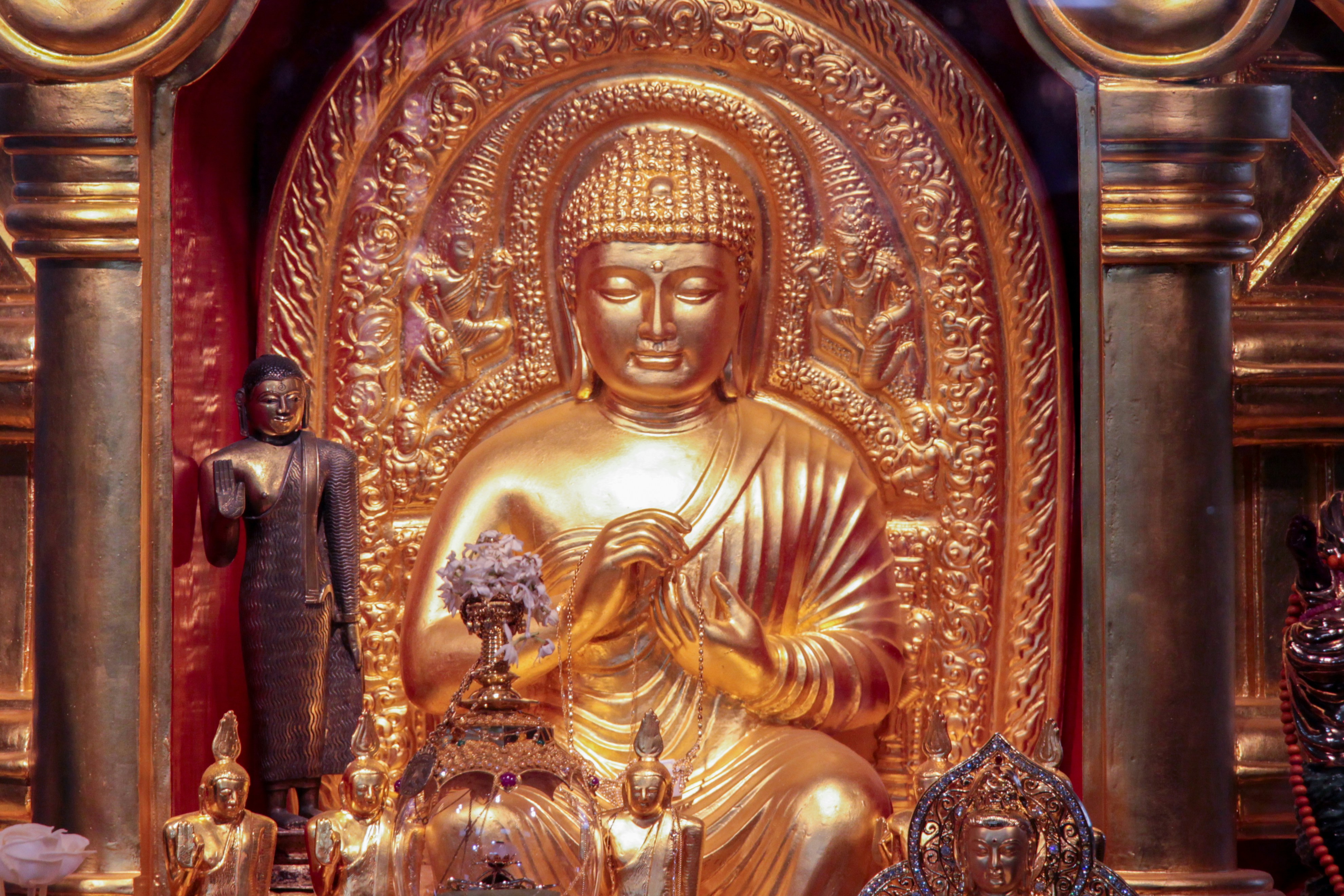 Photo by soroushzargar