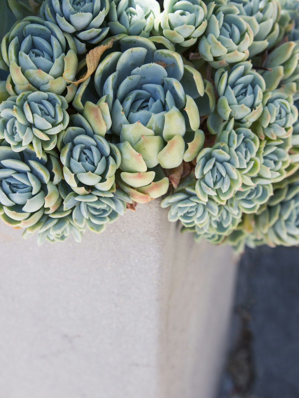 green and white flower bouquet