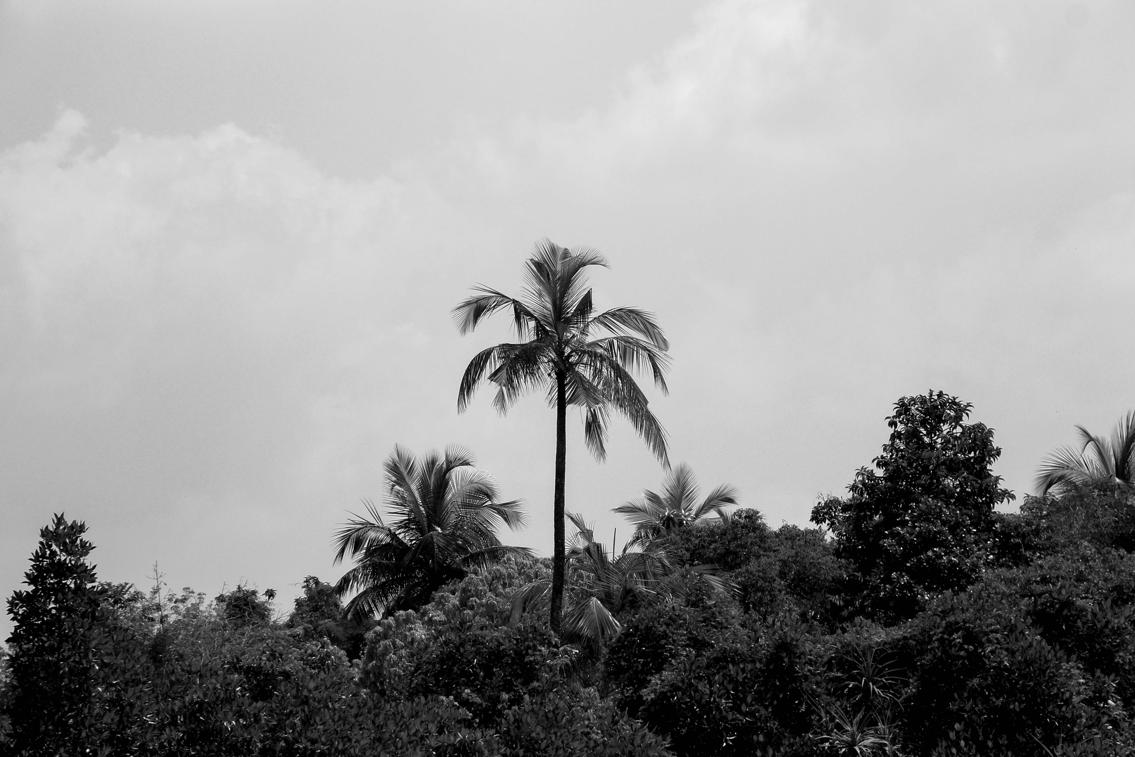 Photo by soroushzargar