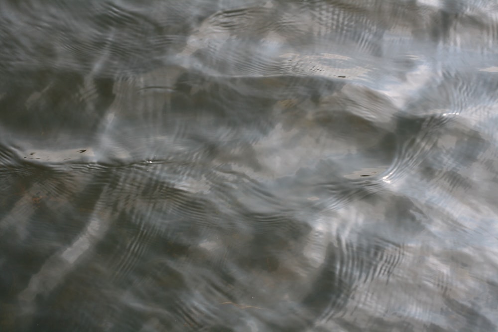 close up photo of body of water