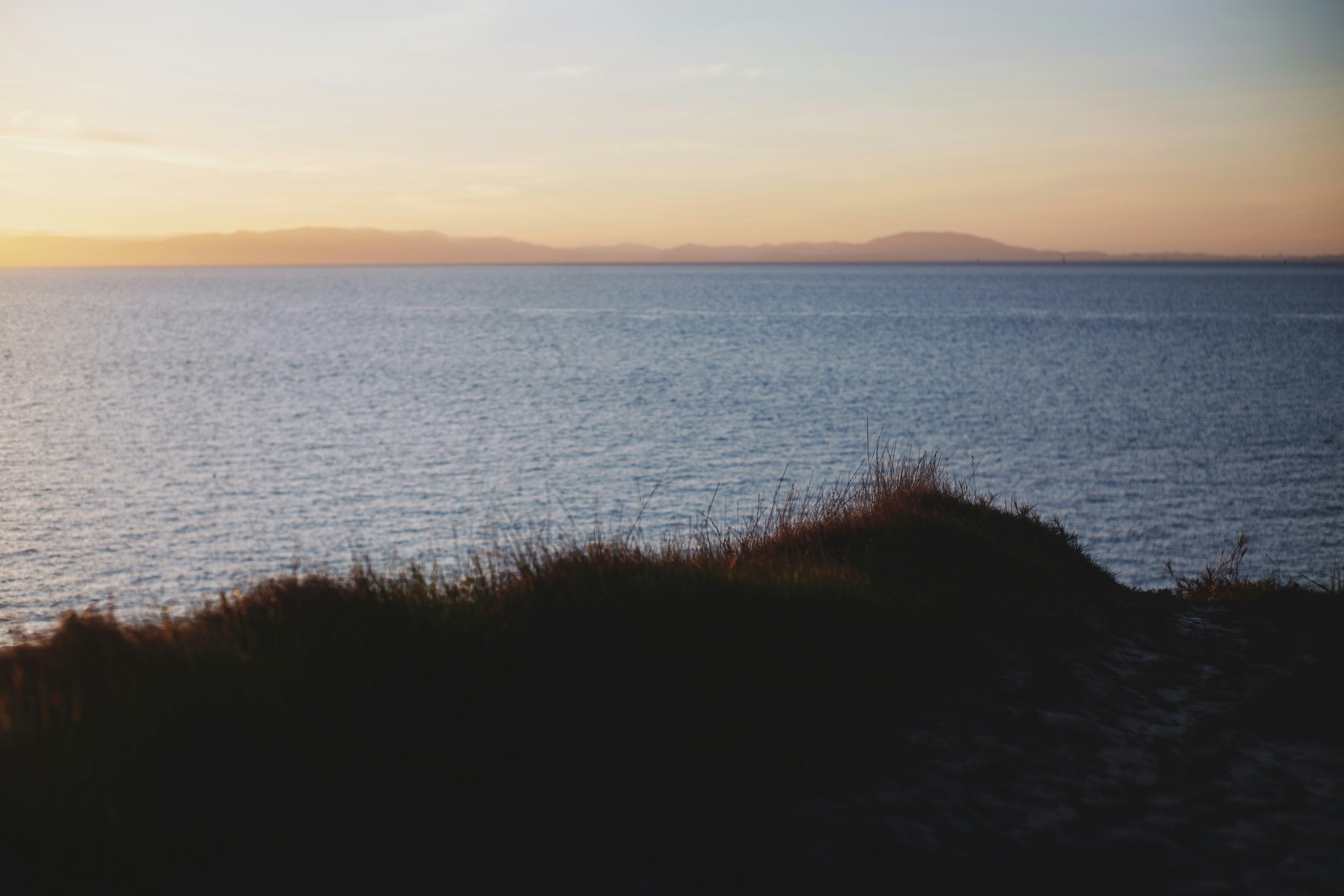 Photo by giorgiotrovato