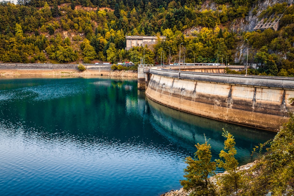 green trees beside blue lake during daytime