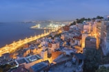 aerial view of city near body of water during night time