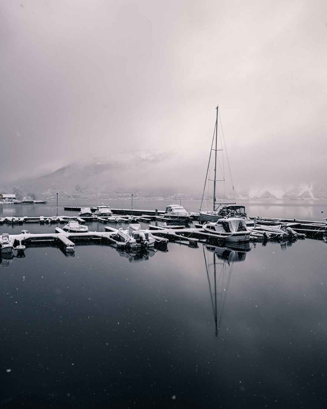 grayscale photo of boats on dock