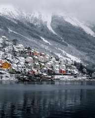 houses near body of water and snow covered mountain during daytime