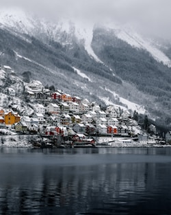 houses near body of water and snow covered mountain during daytime