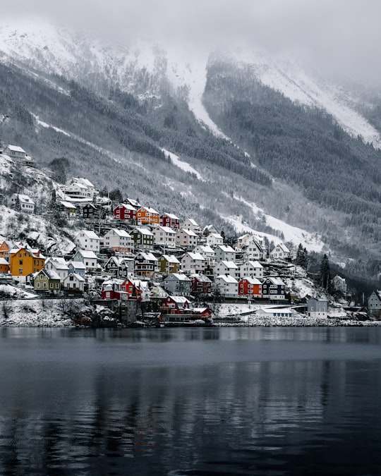 houses near body of water and snow covered mountain during daytime in Odda Norway