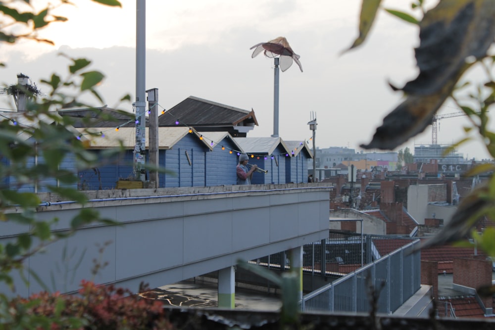 bird flying over the building during daytime