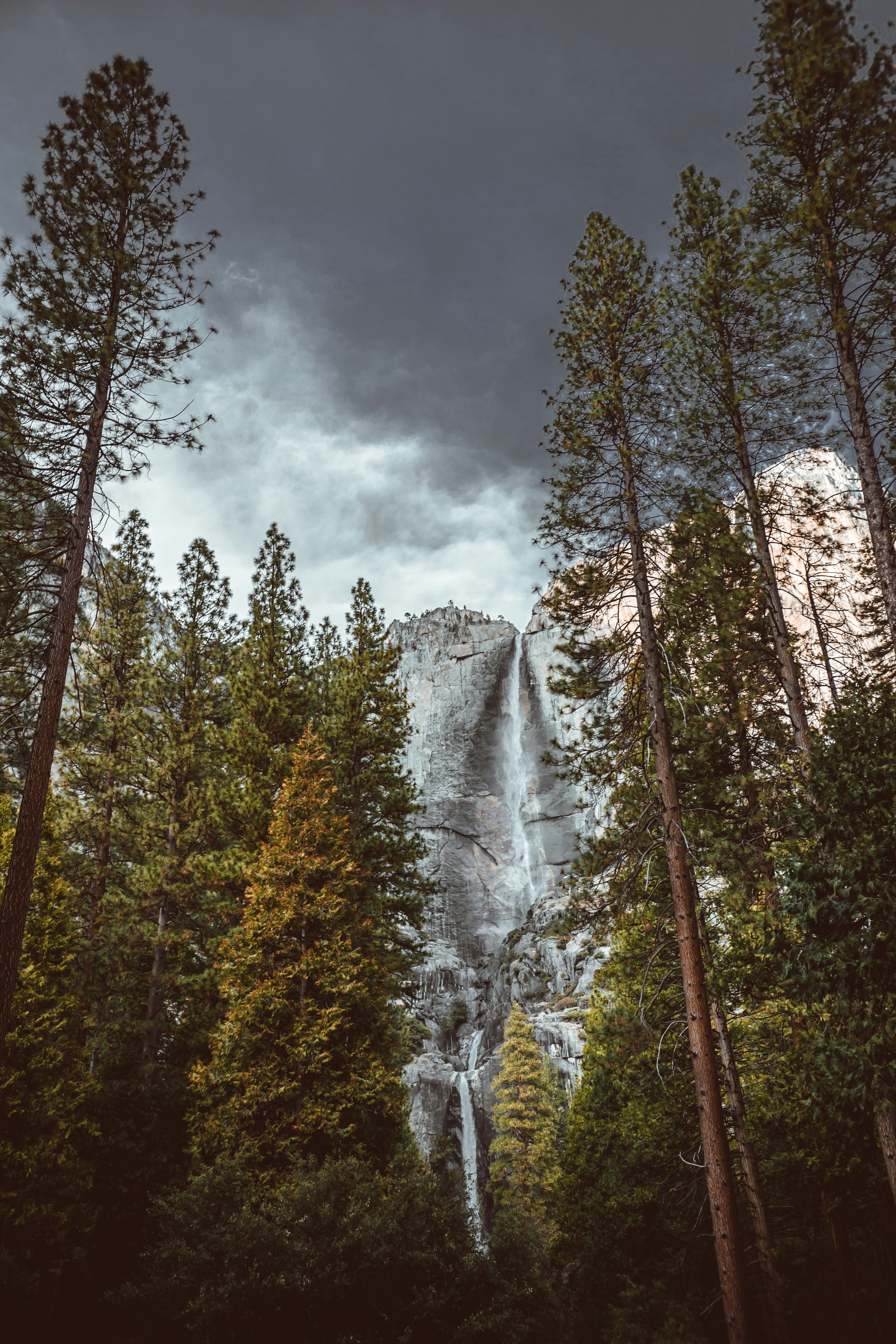 Photo by bradleycdunn