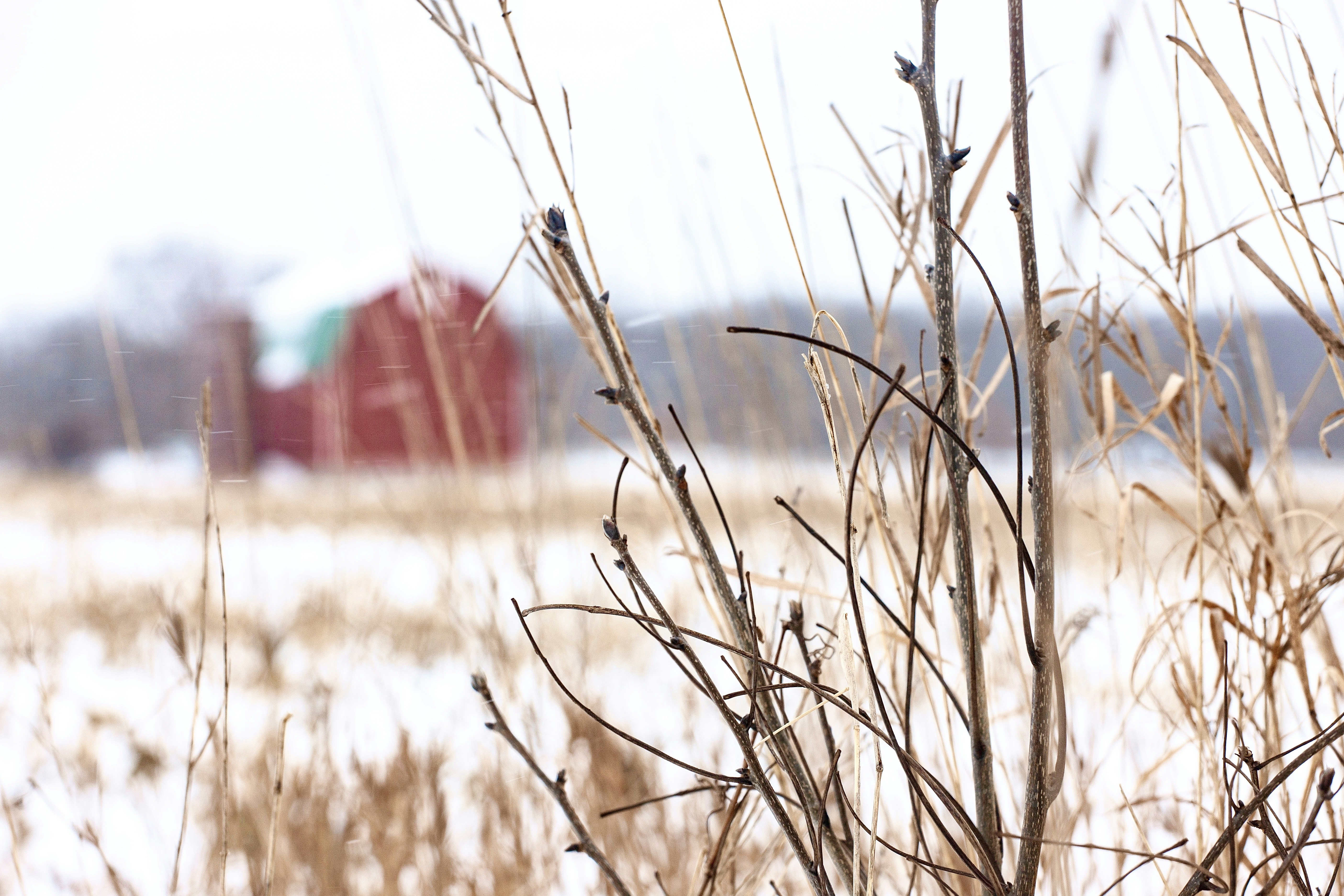 Photo by ohlmanphotography