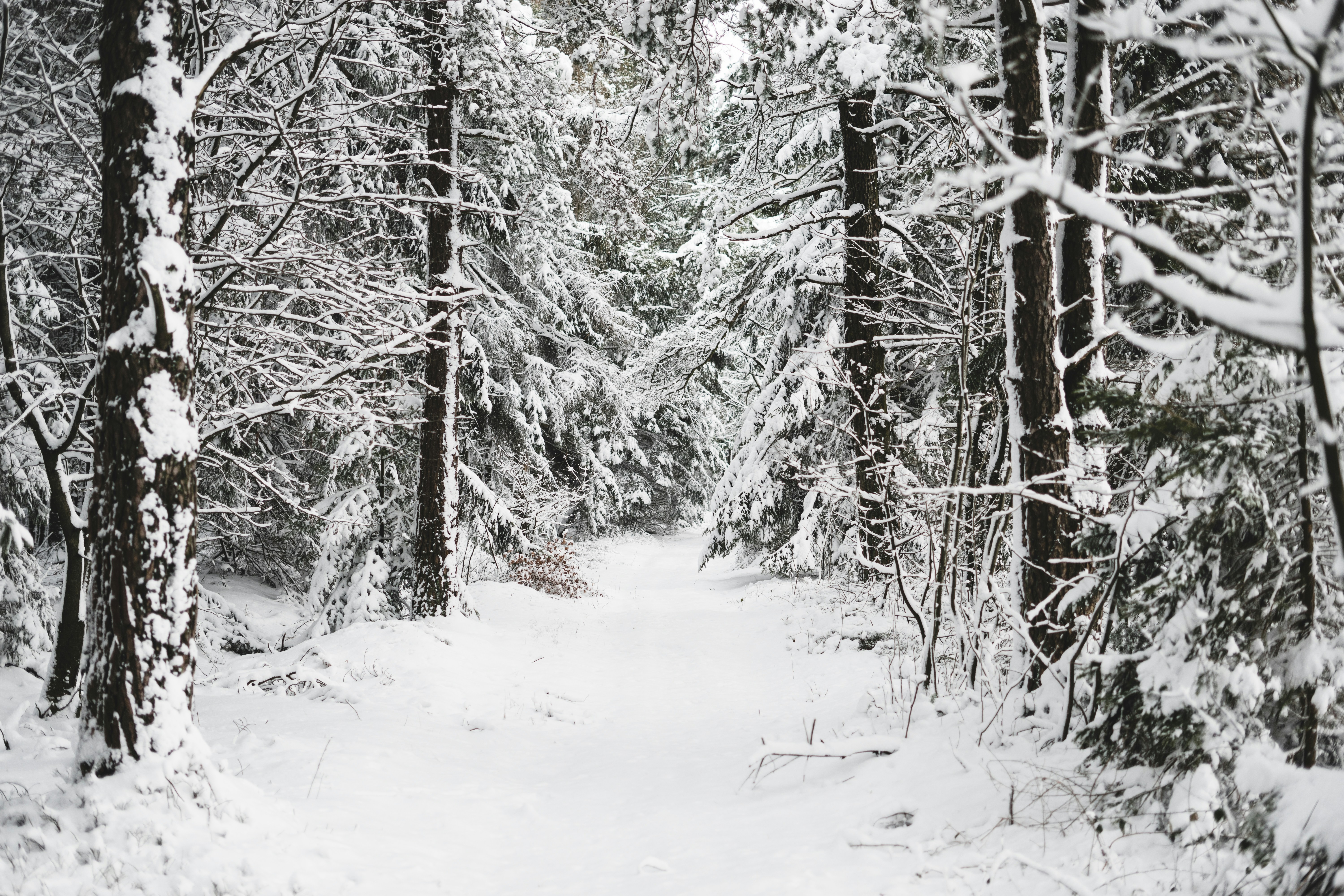 Photo by julianhochgesang