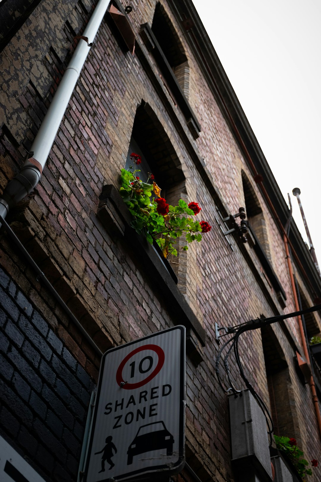 brown brick building with green plants