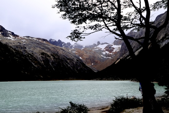 A serene mountainous landscape featuring a turquoise glacial lake surrounded by rocky peaks and patches of snow. Foreground elements include silhouettes of trees and shrubs, creating a natural frame around the water. The distant mountains are misty with a hint of overcast sky, adding to the tranquil ambiance.