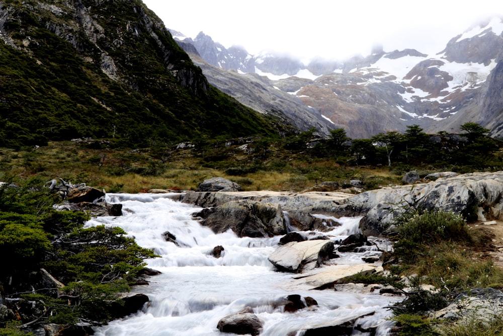 river in the middle of green grass field and mountains