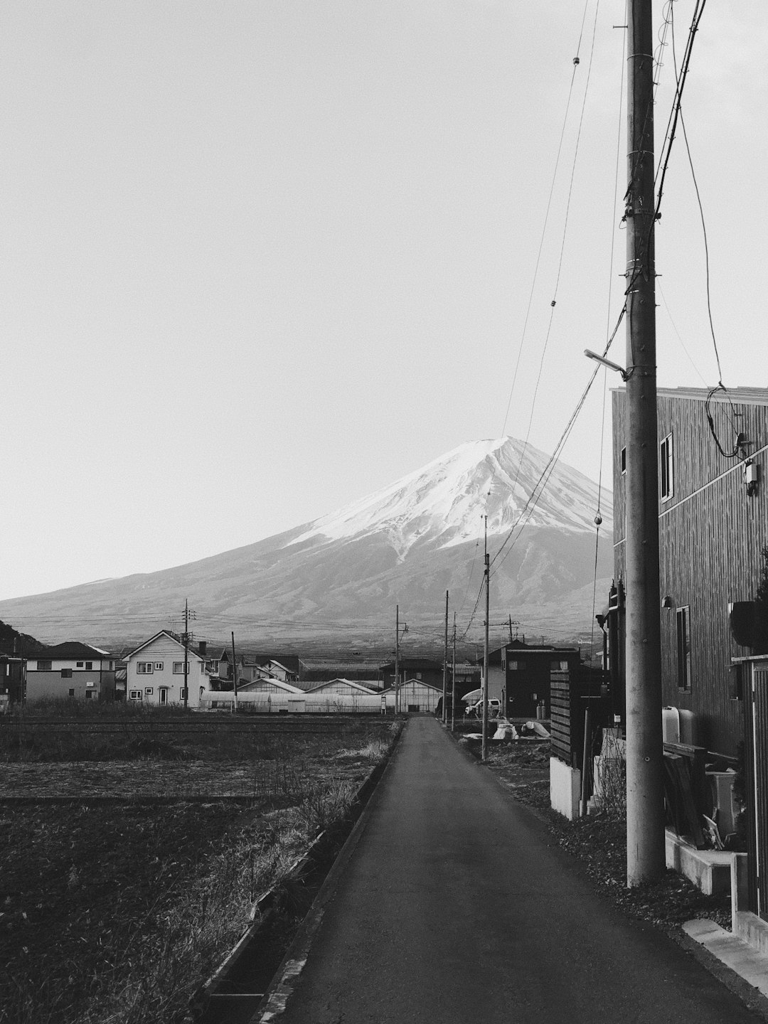 grayscale photo of mountain and trees