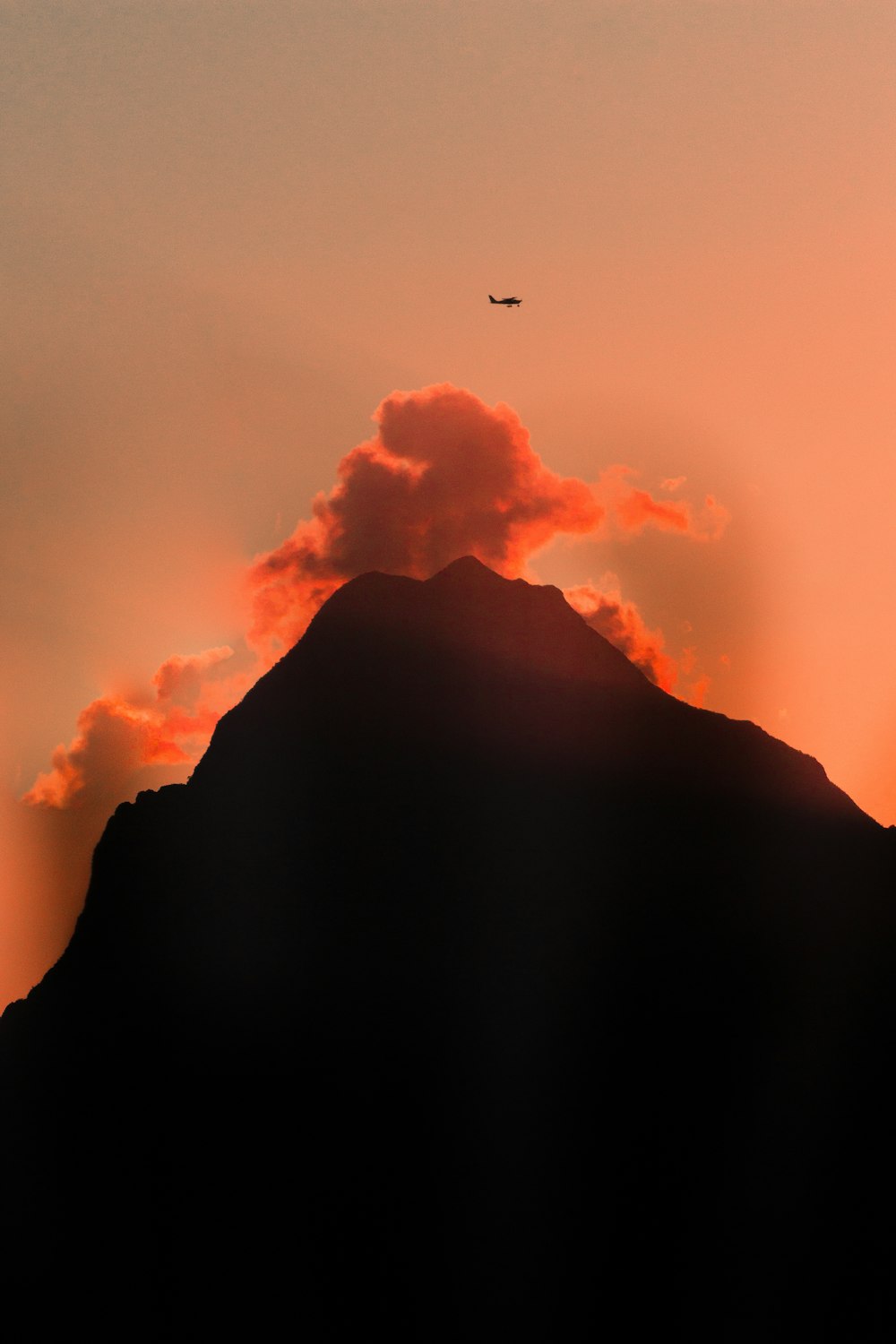 silhouette of bird flying over the clouds during daytime