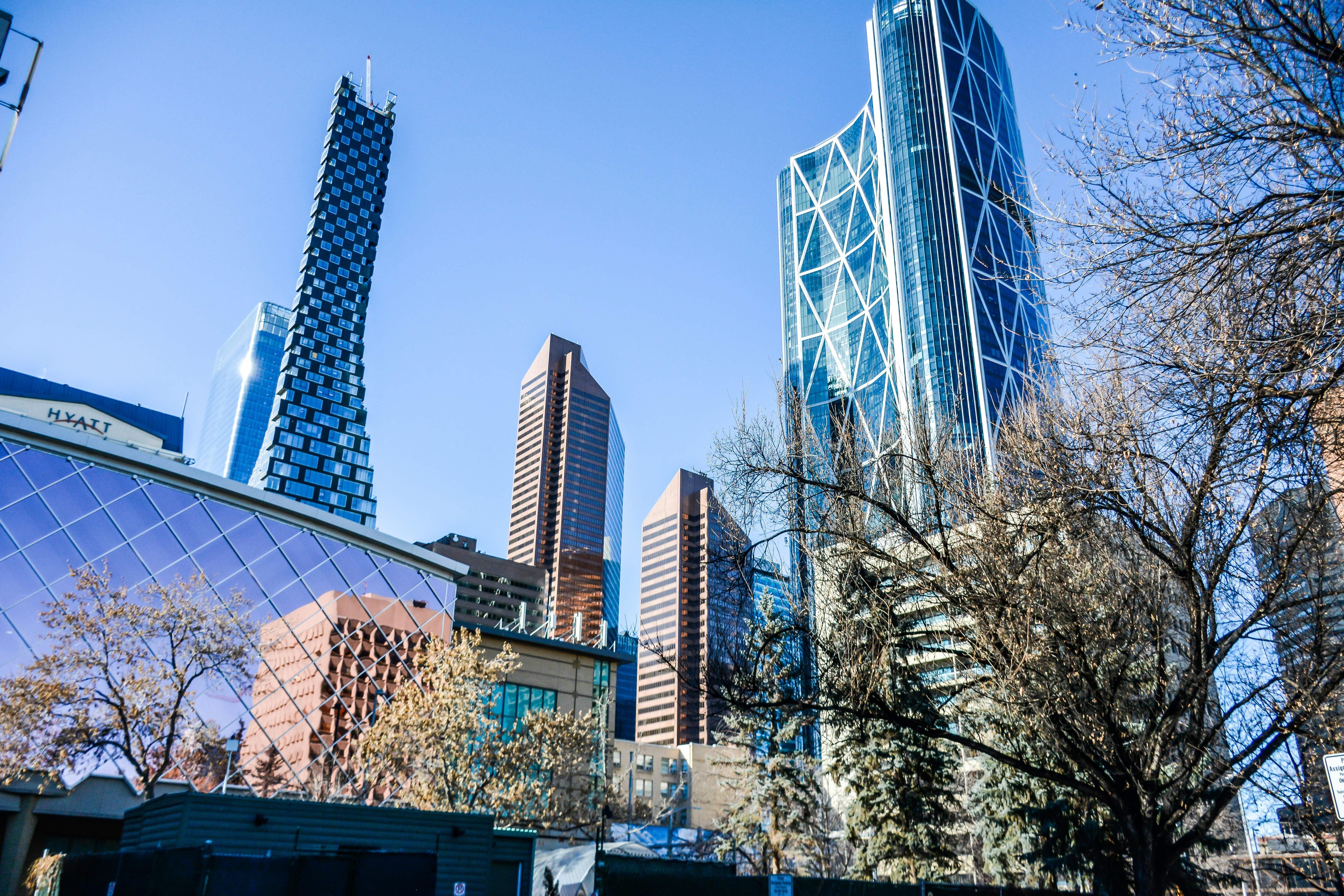 Photo by moonfallmedia