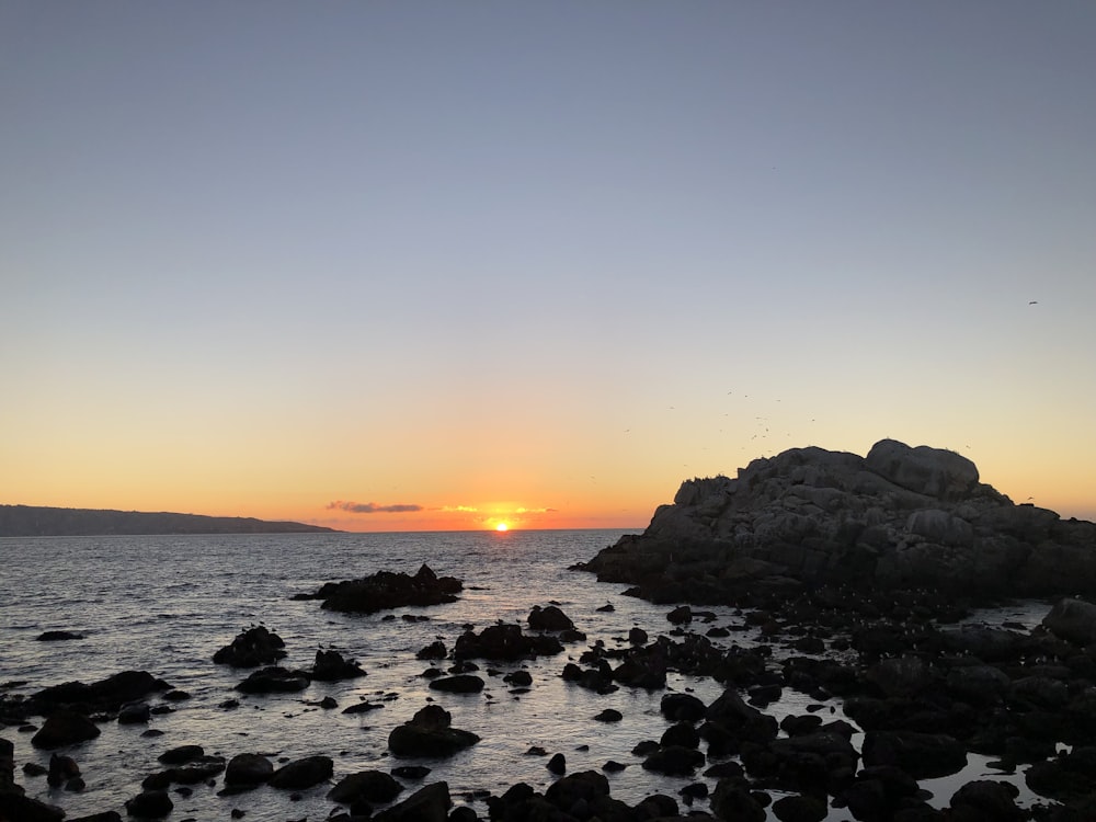 black rocks on sea shore during sunset