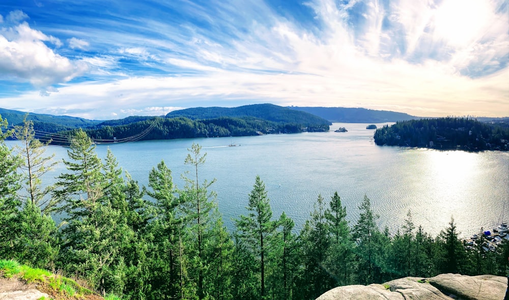 green trees near body of water under blue sky during daytime