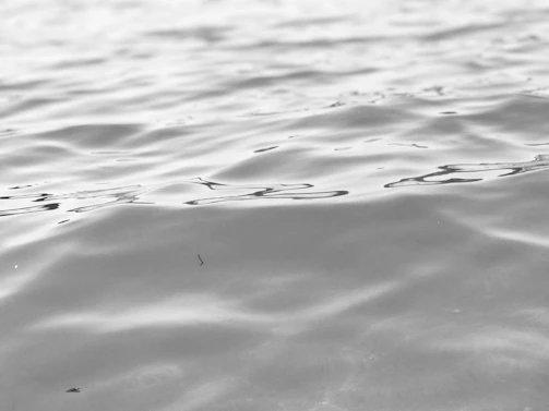 Abstract black and white photo of rippling water reflecting light in soft gradients.