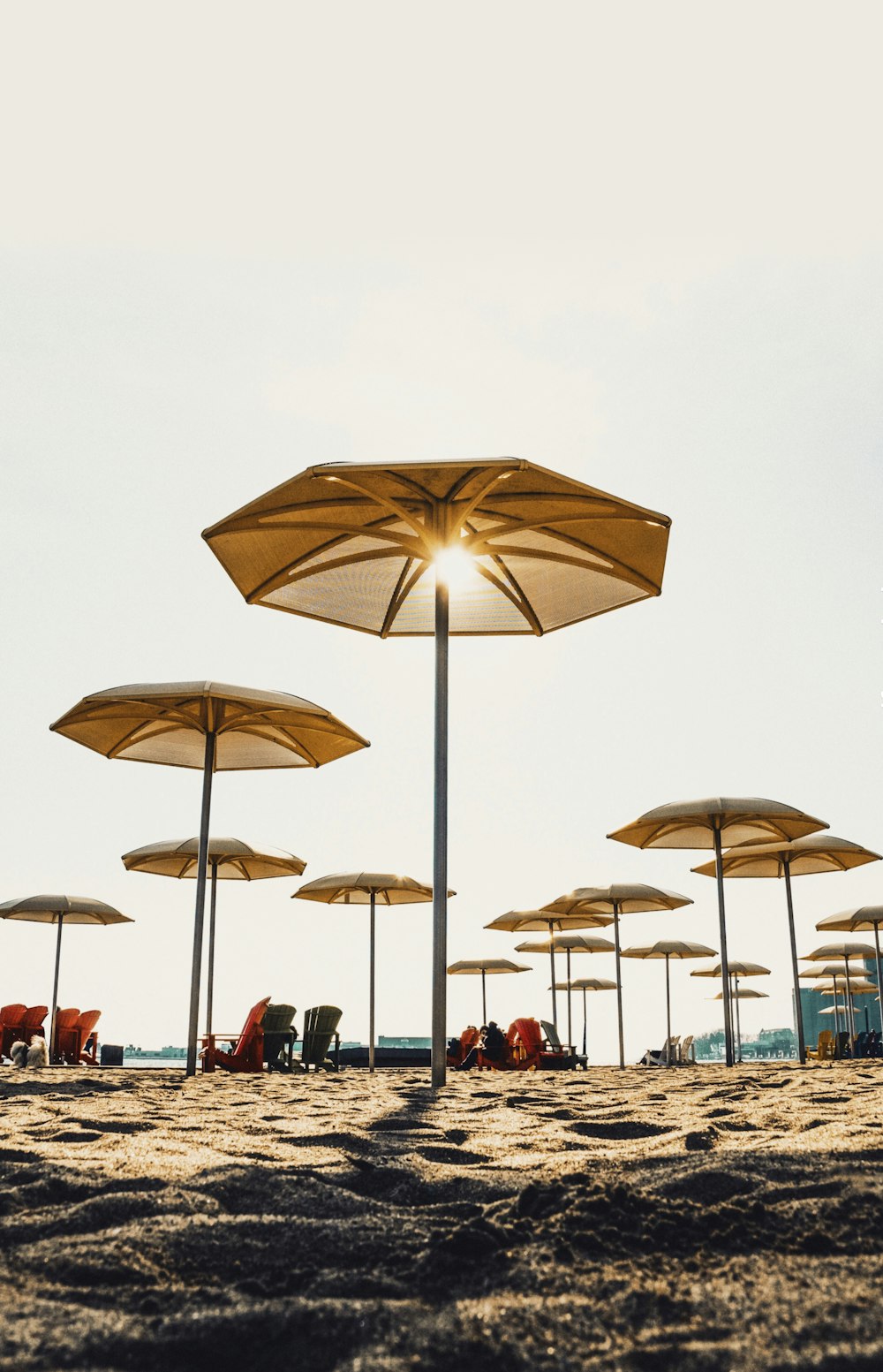 people on beach during daytime