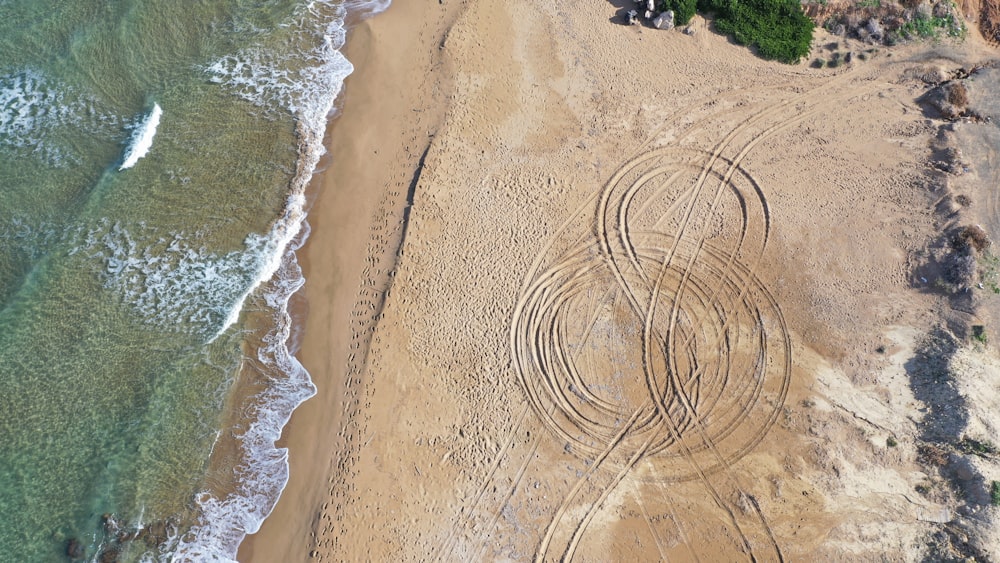 people on beach during daytime