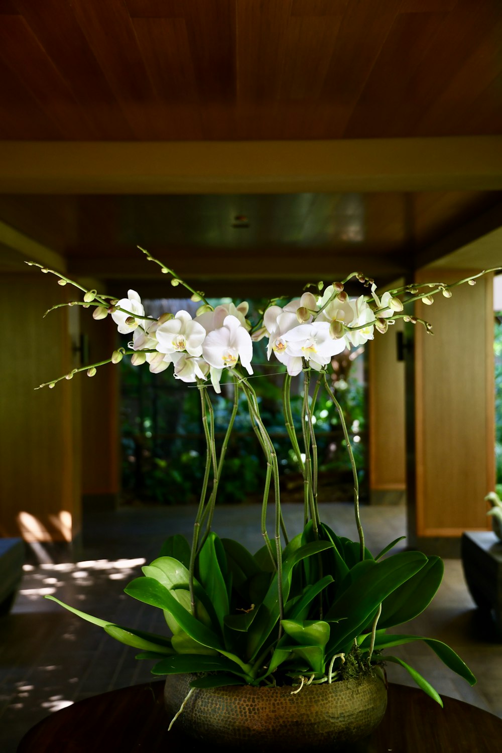 flor blanca sobre mesa de madera marrón