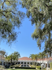 A picturesque scene featuring a modern building with a prominent water feature in front, surrounded by neatly trimmed hedges and tall palm trees. Large trees frame the image from above, creating a natural canopy. The sky is clear and bright blue, adding to the serene atmosphere.