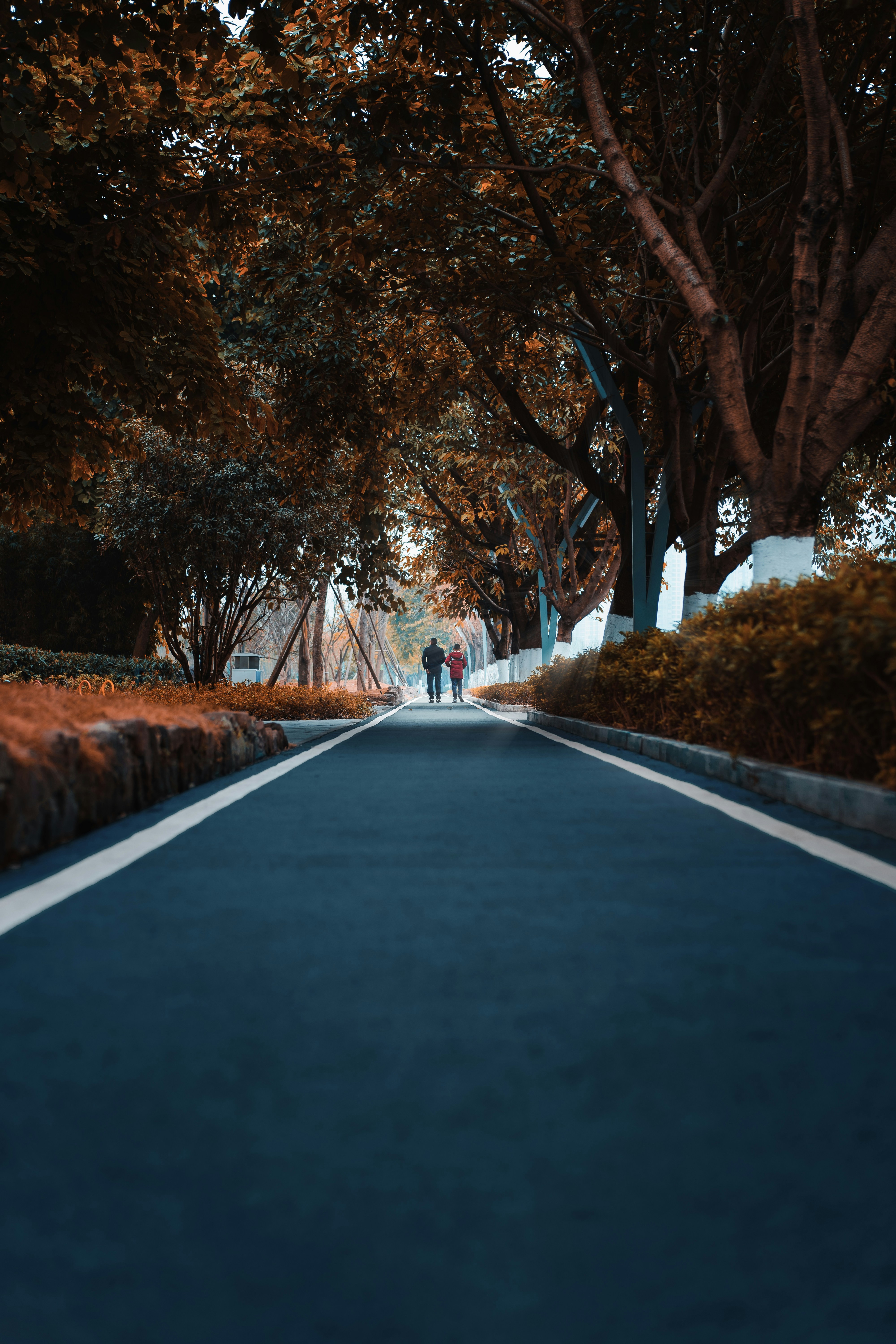 Photo by chengfengrecord