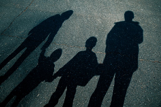 False or Misused Family Law- cause and clause