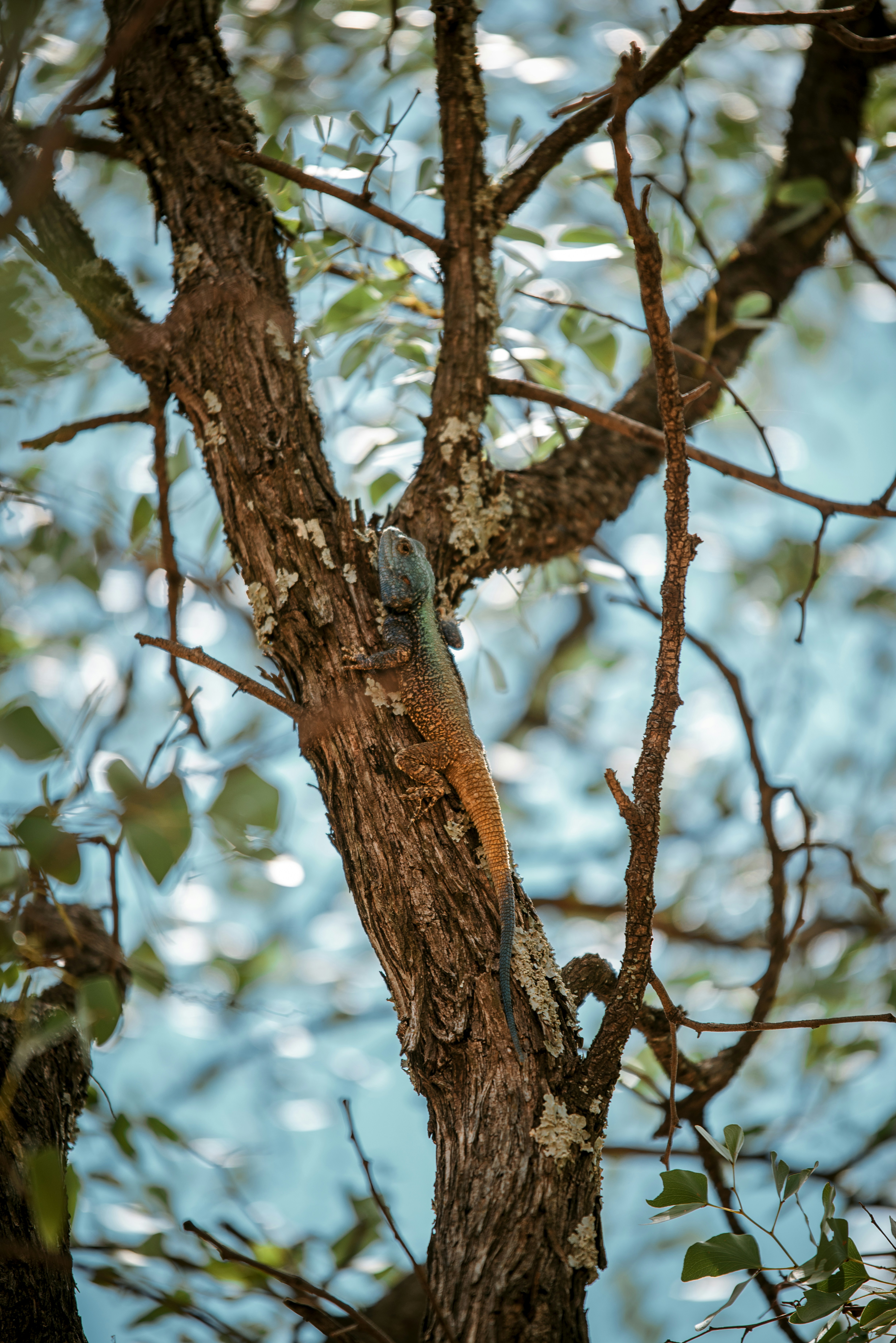 Photo by crayon__artworks