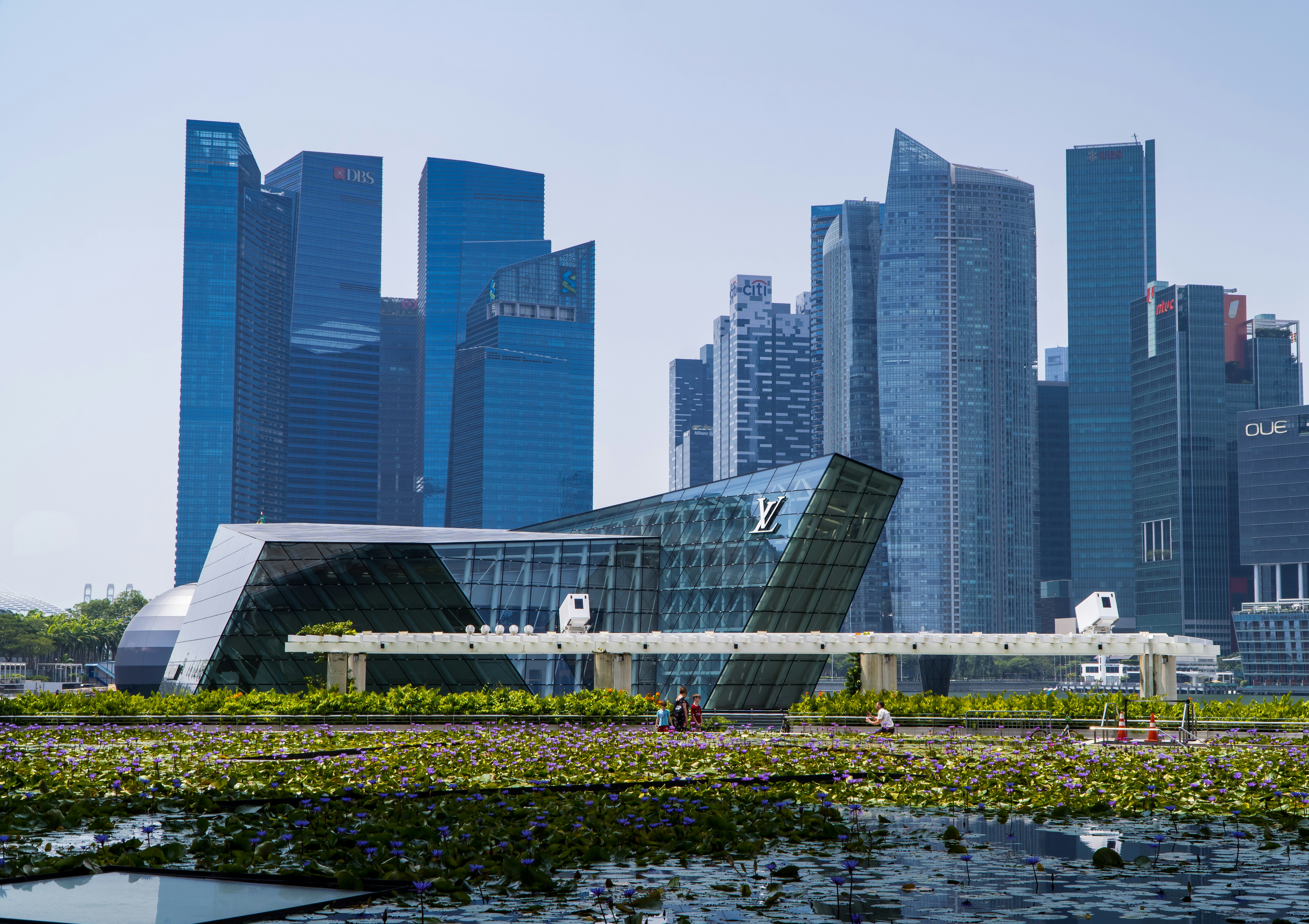 Louis Vuitton store and rose garden in front of Singapore skyline