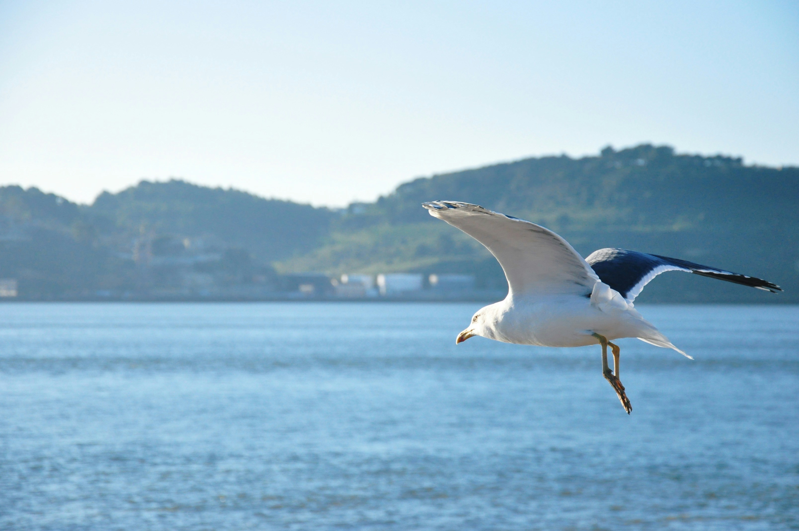 Photo by kabitho