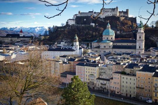 white and brown concrete buildings near green trees under blue sky during daytime in Hohensalzburg Castle Austria