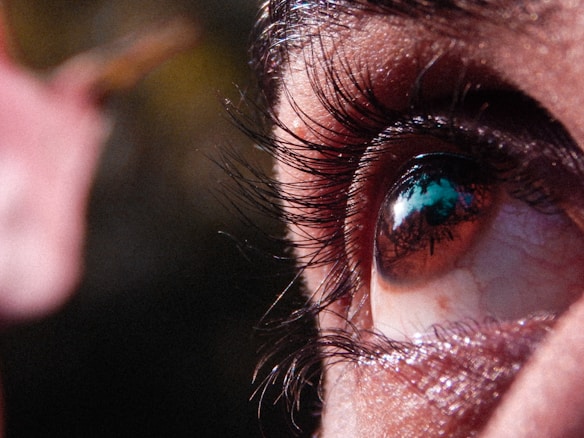 A close-up view of an eye with prominent eyelashes. The eye reflects some scenery, including trees and sky, captured in high detail. The focus on the eye highlights the textures of the skin and the vibrancy of the iris.