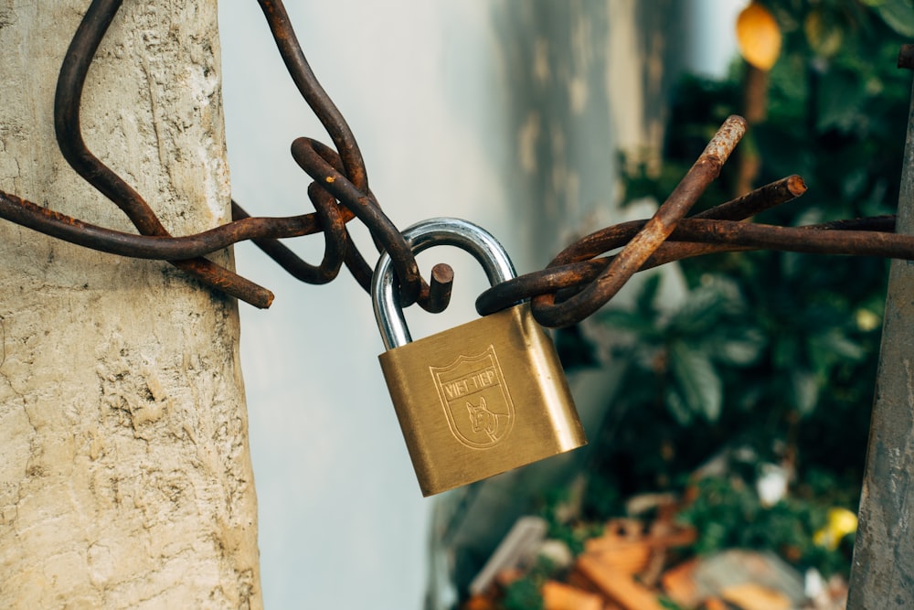 brass padlock on brown metal fence