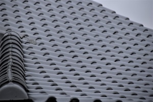 A close-up view of a tiled roof, showcasing a repetitive pattern of overlapping ceramic tiles. The tiles have a gentle curve and are uniformly arranged, creating a symmetrical and orderly appearance. The muted color of the tiles suggests they may be older or simply toned to a neutral color palette.