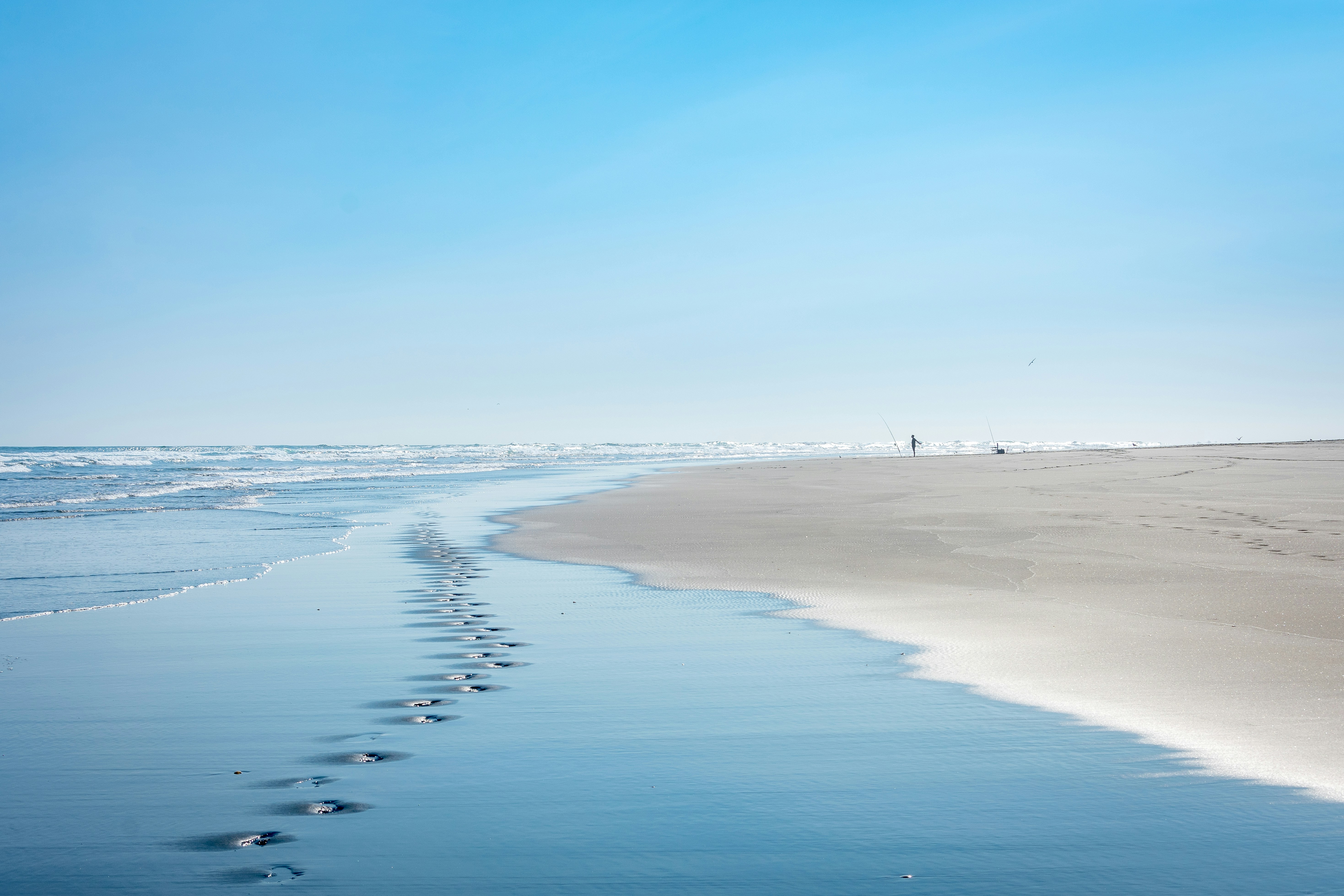 people walking on beach during daytime