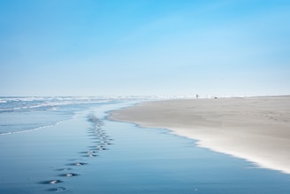 people walking on beach during daytime