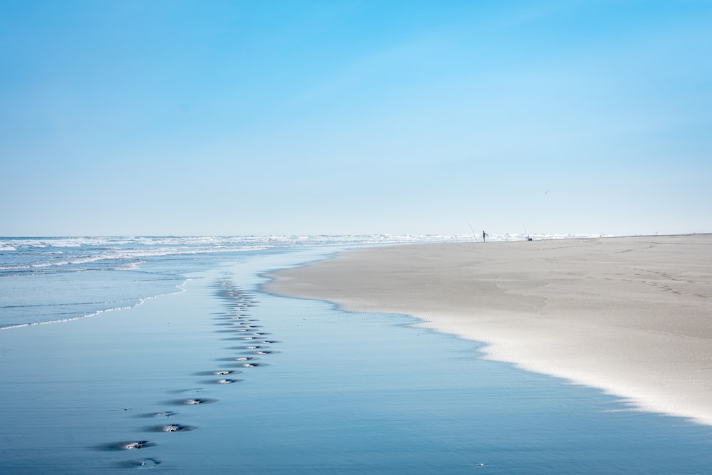 people walking on beach during daytime